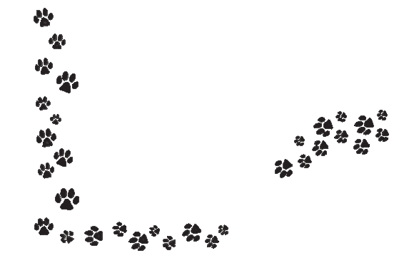 huellitas de mascotas